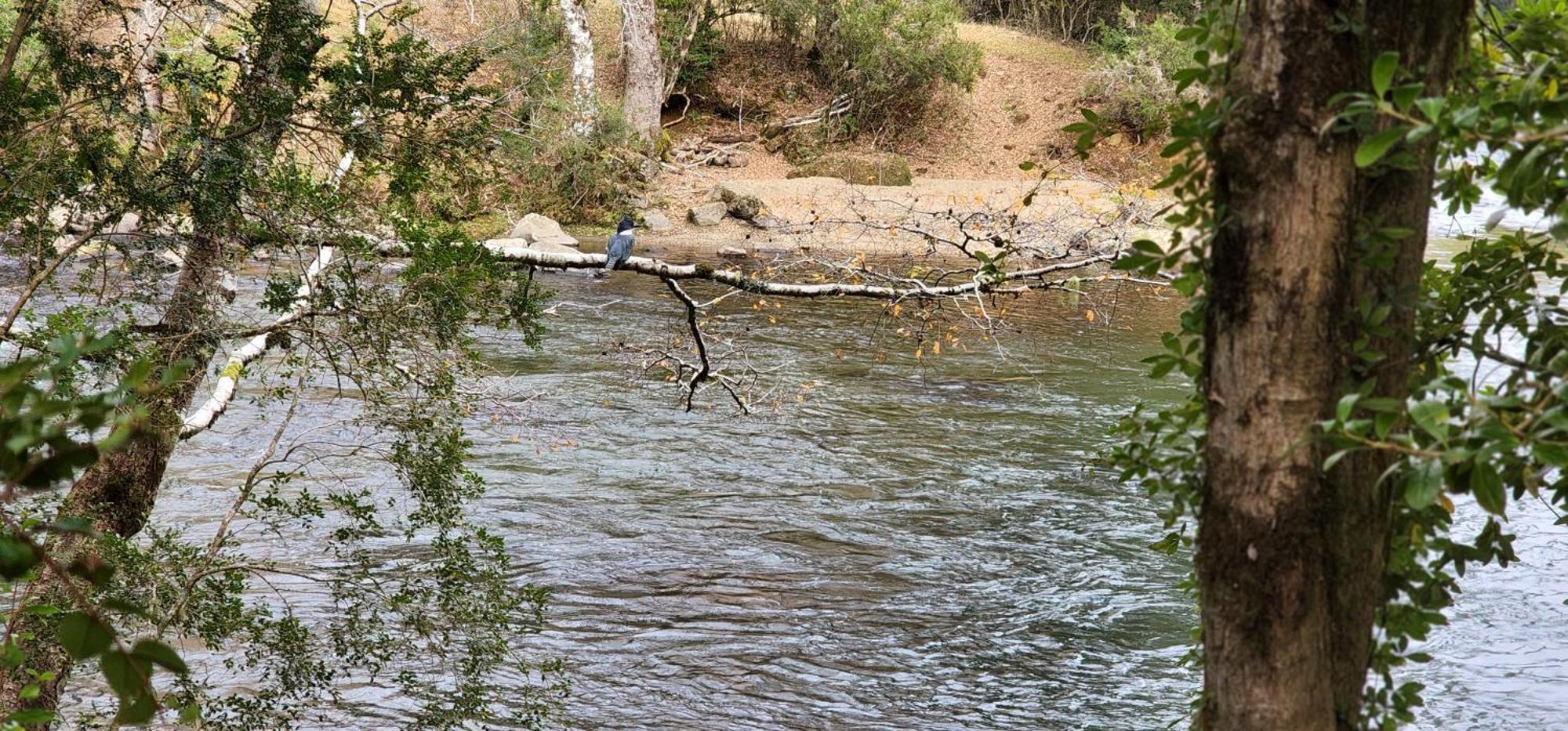 Rio Fascinante, Сasa de vacaciones Pucón