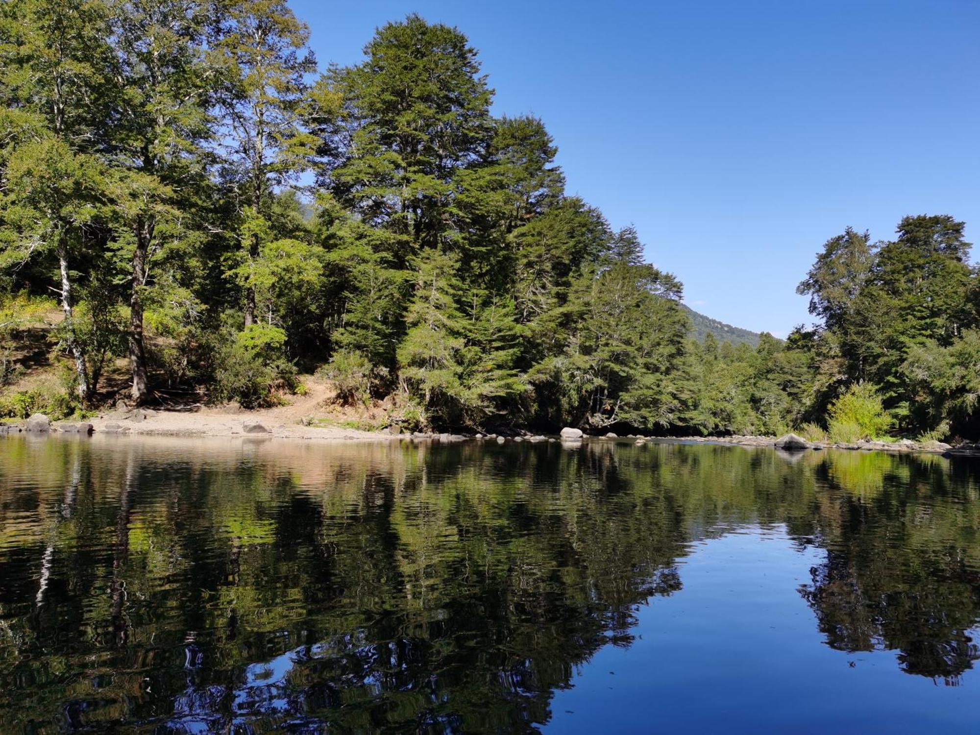 Rio Fascinante, Casa de férias Pucón